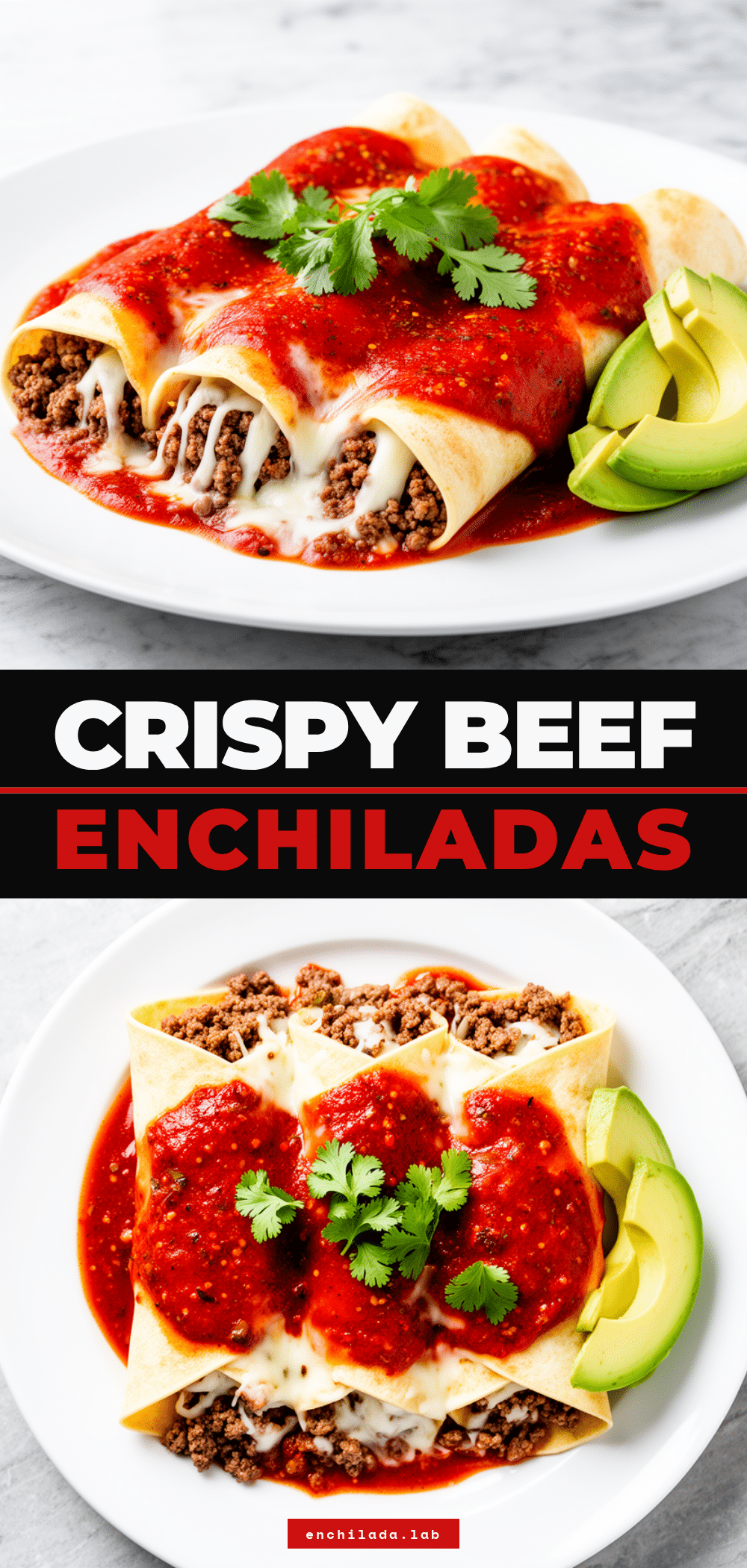Beef and Cheese Enchiladas with Red Sauce: Easy Recipe 5 beef and cheese enchiladas with red sauce recipe