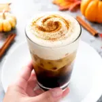 fall pumpkin cream cold brew - featured image