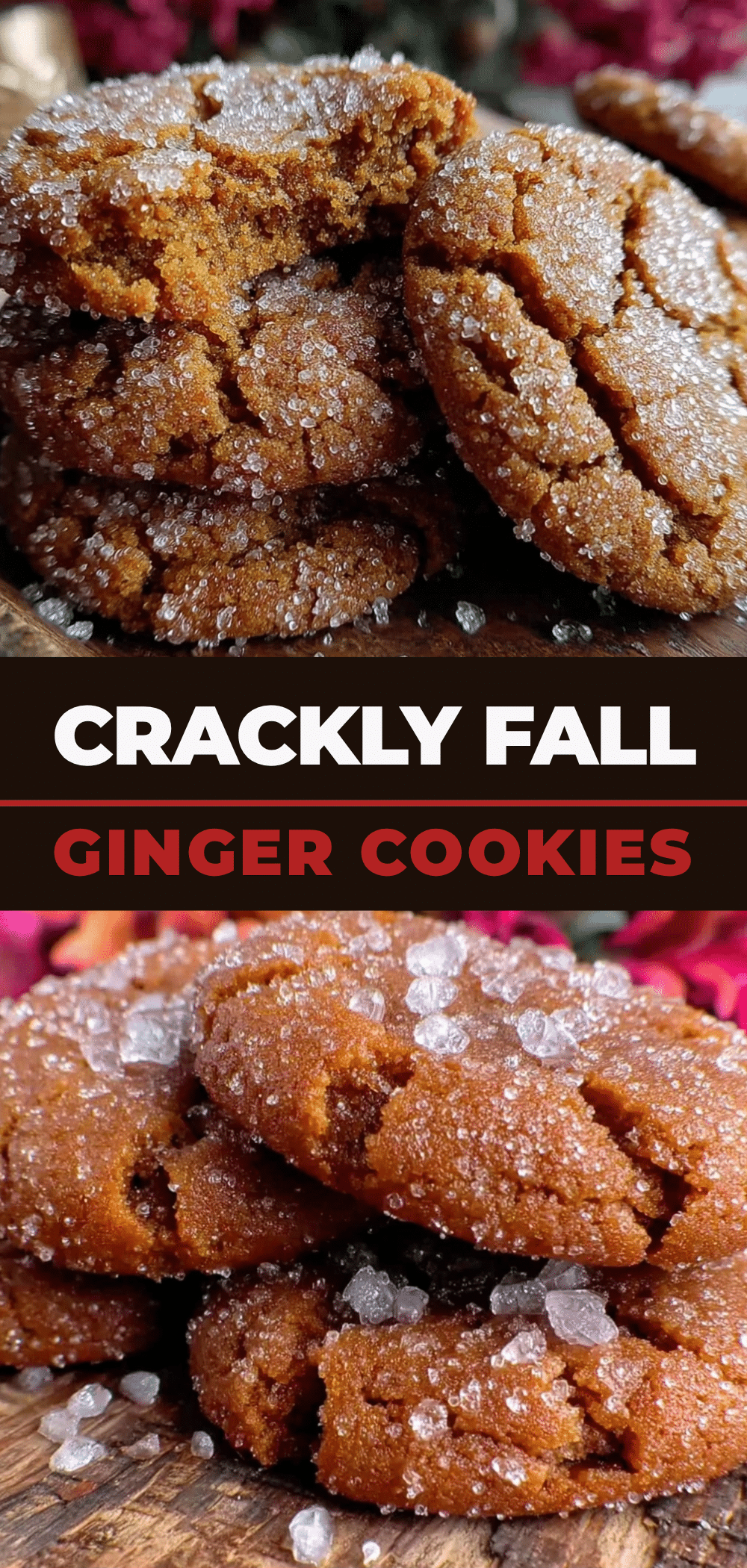 Fall Molasses Ginger Cookies: Easy Kids Love Baking 5 fall molasses ginger cookies recipe