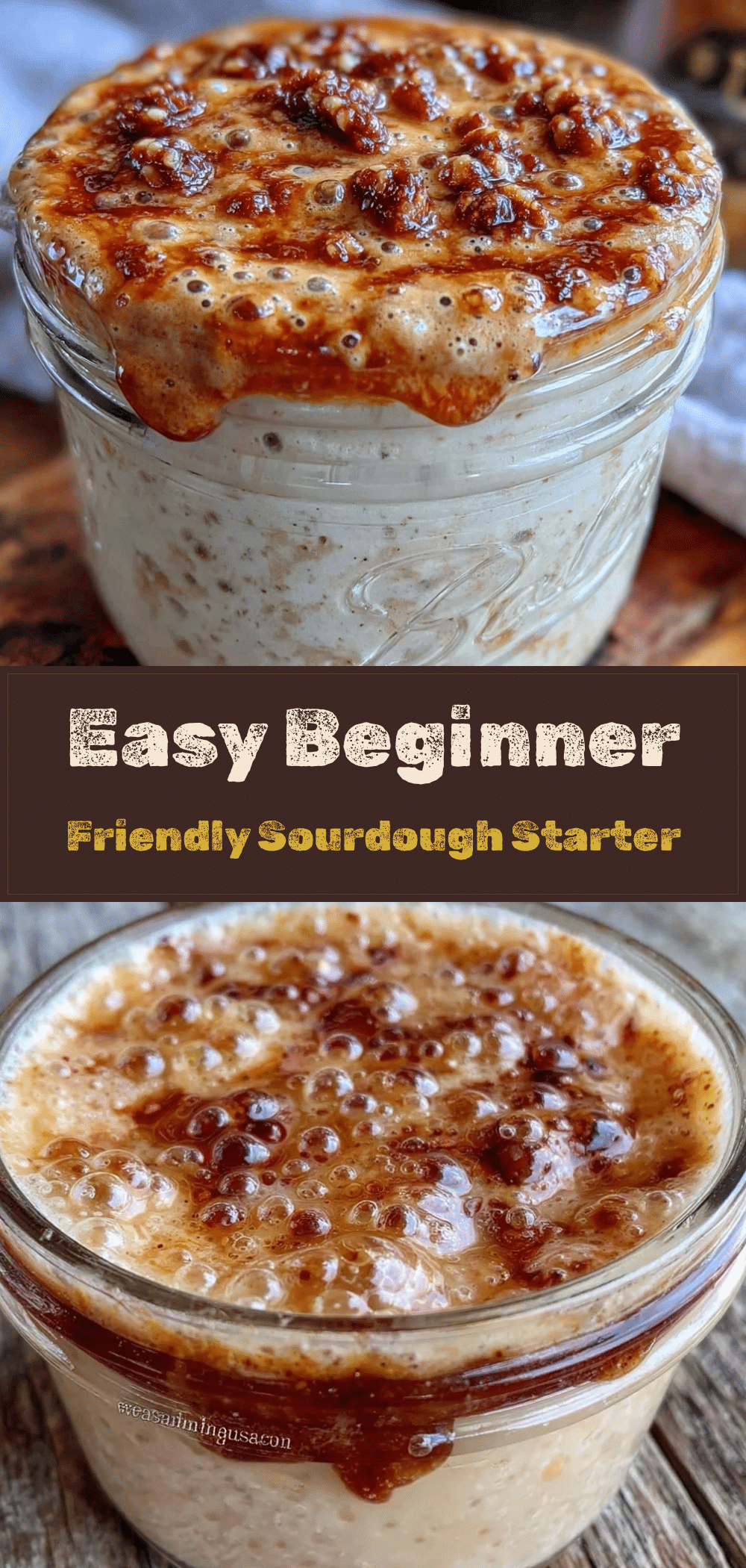 Beginner Friendly Sourdough Starter: Perfect 7-Day Guide 5 sourdough starter recipe